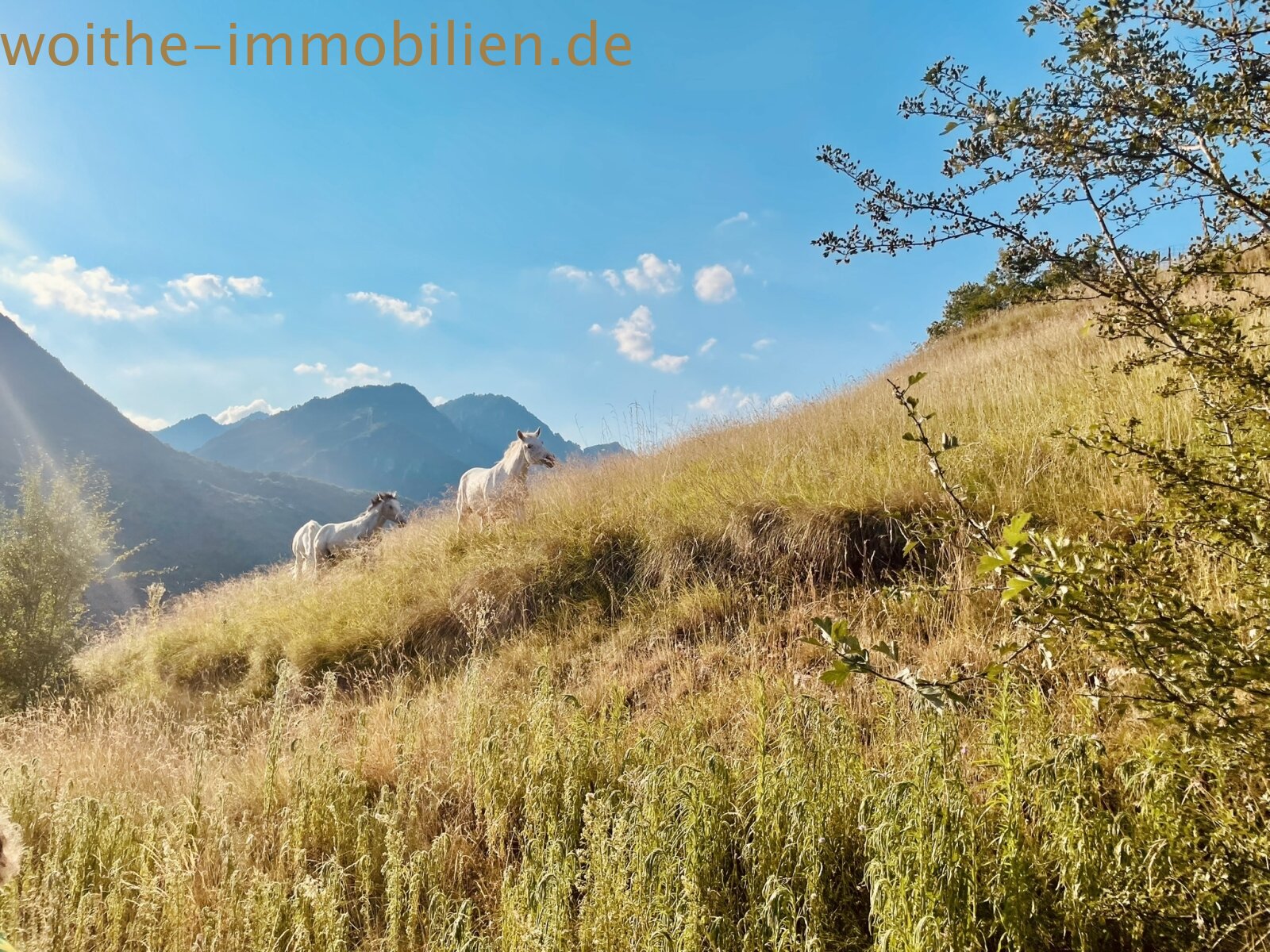 Lieben Sie die Natur - Rustico am Gardasee  Lieben Sie die Natur - Rustico am Gardasee